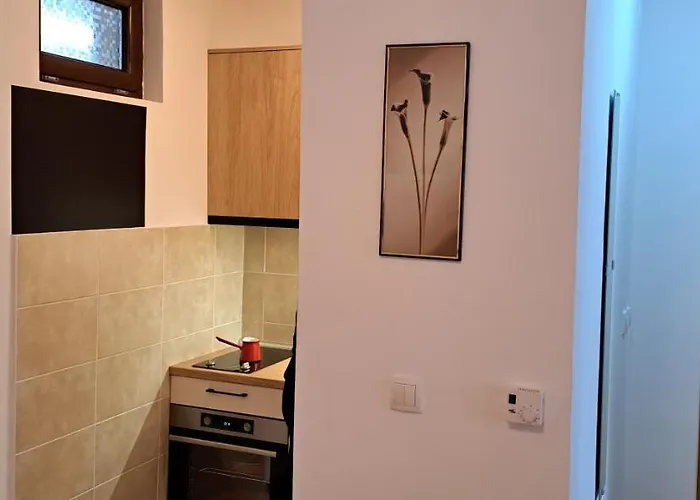 Vnv Apartment Zlatibor